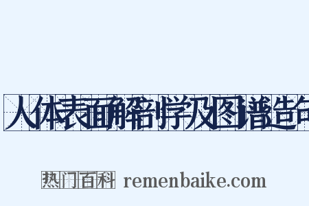 人体表面解剖学及图谱造句是什么意思的图片